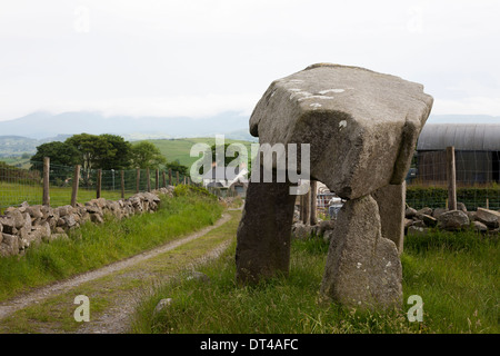 Legananny Dolmen ist ein megalithischen Dolmen oder Cromlech zu nahe Banbridge und Castlewellan, ein gutes Beispiel für ein Dolmen. Stockfoto