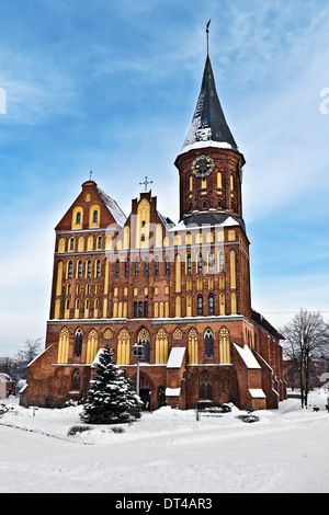 Königsberger Dom - gotischer Tempel aus dem 14. Jahrhundert. Symbol für Kaliningrad (bis 1946 Königsberg), Russland Stockfoto