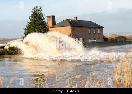 Verteidigung bei der Ortschaft Burrowbridge in Somerset am 8. Februar 2014 zu überfluten. Aufgrund der hohen Niederschläge Fluß Parrett wurde das Volumen des Wassers überfordert und hat in der Nähe Ackerland verlassen Häuser unter Wasser überschwemmt.  Der Umweltagentur haben zusätzliche Pumpen Saltmoor Pumping Station mit der riesigen Menge von Wasser zu bewältigen helfen entworfen, aber eine schwere Wasseralarm bleibt und einige Insassen wurde gesagt, um zu evakuieren. © Nick Kabel/Alamy Live News Bildnachweis: Nick Kabel/Alamy Live-Nachrichten Stockfoto