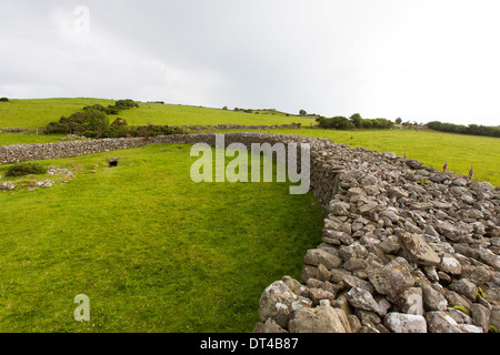 Drumena Cashel ist ein gutes Beispiel für einen kleinen frühchristlichen Steinhäuser Hof Gehäuse in der Nähe von Castlewellan im County Down Stockfoto