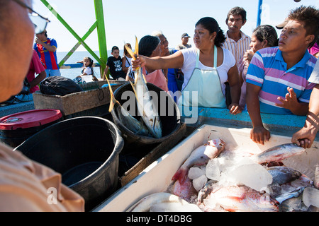 Frauen Fang, die Händler frisch Feilschen ganzer Fisch auf dem Pier in La Libertad, eine Hafenstadt an der Küste von El Salvador Stockfoto