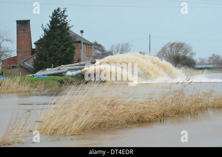 Burrowbridge, Somerset, UK. 8. Februar 2014.  UK Überschwemmungen in Burrowbridge in Somerset, Robert Timoney/AlamyLiveNews. Stockfoto