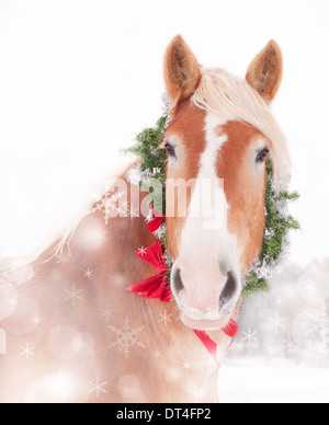 Verträumte Weihnachten Themen Bild eines belgischen Entwurf des Pferdes mit einem Kranz und Bogen Stockfoto