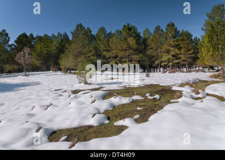 Verschneiten Landschaft, natürlichen Park Sierras de Cazorla Segura y Las Villas, Jaen-Provinz, Region von Andalusien, Spanien; Europa, Stockfoto