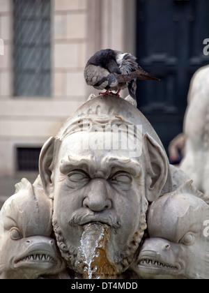 Brunnen Sie del Moro auf quadratischen Navone in Rom Stockfoto