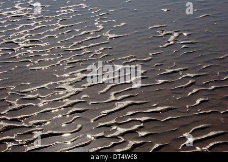 Wattenmeer bei Ebbe, Castricum Aan Zee, Niederlande Stockfoto
