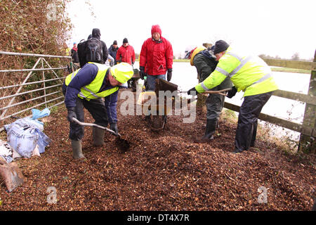 Burrowbridge, Somerset, UK. 9. Februar 2014. Dorfbewohner und Freiwilligen, die Verlegung von Holzspänen und Sandsäcke, die einzige Fußweg zu stabilisieren, der die beiden Hälften des Dorfes links des Weg verläuft entlang der geschwollenen Fluß Parrett. Stockfoto