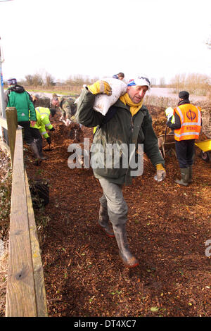 Burrowbridge, Somerset, UK. 9. Februar 2014. Dorfbewohner und freiwillige Helfer tragen Sandsäcke und Schaufeln Holzspänen in Schubkarren für Freiwillige, den einzige Fußweg zu stabilisieren, der die beiden Hälften des Dorfes links führt der Weg neben den angeschwollenen Fluss Parrett. Stockfoto