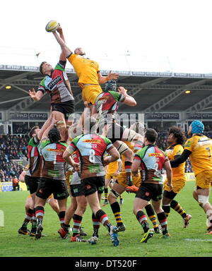 Twickenham, London, UK. 9. Februar 2014. Rugby Union. Aviva Premiership Rugby. Kearnan Myall von London Wasps gewinnt die Linie während der Aviva Premiership-Partie zwischen Harlekine und London Wasps in Twickenham Stoop auf 9. Februar 2014 in Twickenham, England. Bildnachweis: Aktion Plus Sport/Alamy Live-Nachrichten Stockfoto