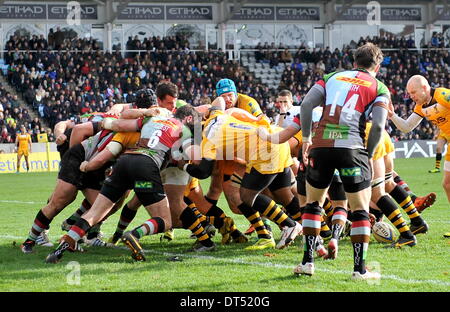 Twickenham, London, UK. 9. Februar 2014. Rugby Union. Aviva Premiership Rugby. Hendon, England. Wespen Vorstoß in Richtung der Linie versuchen während der Aviva Premiership Spiel zwischen Harlekine und London Wasps in Twickenham Stoop am 9. Februar 2014 in Twickenham, England. Bildnachweis: Aktion Plus Sport/Alamy Live-Nachrichten Stockfoto