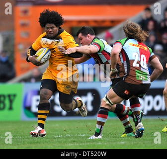 Twickenham, London, UK. 9. Februar 2014. Rugby Union. Aviva Premiership Rugby. Ashley Johnson von London Wasps in Aktion während der Aviva Premiership Spiel zwischen Harlekine und London Wasps in Twickenham Stoop am 9. Februar 2014 in Twickenham, England. Bildnachweis: Aktion Plus Sport/Alamy Live-Nachrichten Stockfoto