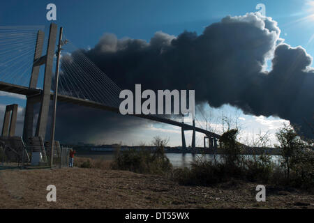 Savannah, Georgia, USA. 8. Fen, 2014. Betrachter Fotografien den steigenden Rauch aus einem Lager Feuer im Hafen von Savannah in Savannah, Georgia, USA, auf Samstag, 8. Februar 2014. Feuerwehr arbeitete enthalten und löschen das Feuer, das an des Ports Ocean Terminal nicht weit von der Innenstadt Savannah ausgebrochen. Bildnachweis: JT Blatty/Alamy Live-Nachrichten Stockfoto