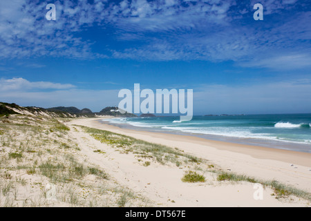 Lighthouse Beach mit Leuchtturm in Ferne und Sanddünen im Vordergrund Seal Rocks New South Wales NSW Australia Stockfoto