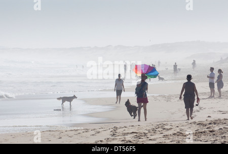 Rothaarige Strand Frau mit Baby auf Rücken Hund spazieren und tragen bunte Sonnenschirm Rothaarige Newcastle NSW Australia Stockfoto