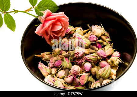 Aromatisch und lecker Tee aus getrockneten Rosenknospen Stockfoto