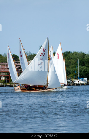 Segeln am Oulton Broad nahe Lowestoft Stockfoto