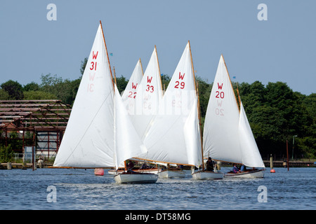 Segeln am Oulton Broad nahe Lowestoft Stockfoto