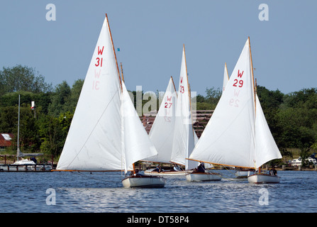 Segeln am Oulton Broad nahe Lowestoft Stockfoto