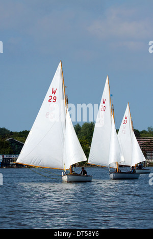 Segeln am Oulton Broad nahe Lowestoft Stockfoto