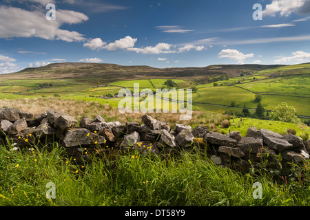 Eine trockene Steinmauer restaurierungsbedürftig in Arkengarthdale, The Yorkshire Dales. Stockfoto