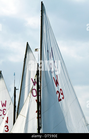 Segeln am Oulton Broad nahe Lowestoft, Suffolk Stockfoto