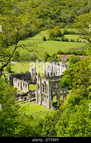 Rievaulx Abtei in Ryedale, North Yorkshire. Stockfoto