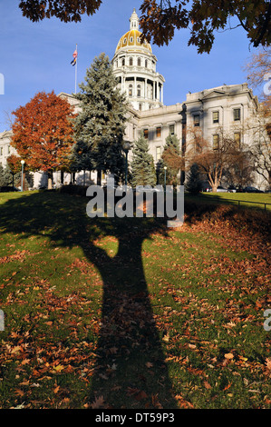 Colorado State Capitol Building in Denver mit dem Schatten eines Baumes im Vordergrund. Stockfoto