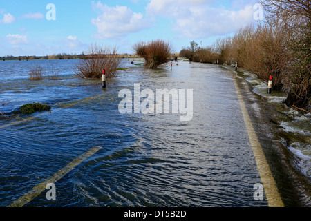 Überschwemmungen, Somerset Levels, UK 2014. Überfluteten Straße und Farm landen auf West Segge Moor Stockfoto