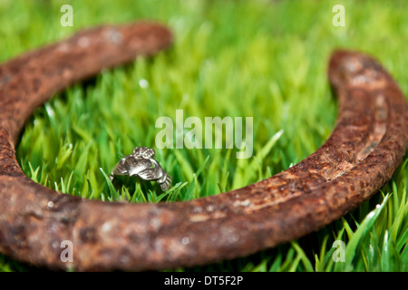 Viel Glück-Hufeisen Stockfoto