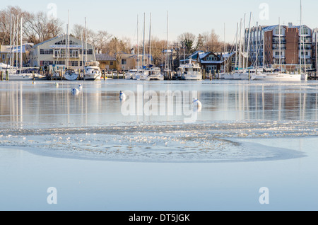 Motor- und Segelboote, eingefroren Annapolis Harbor vereist. Stockfoto