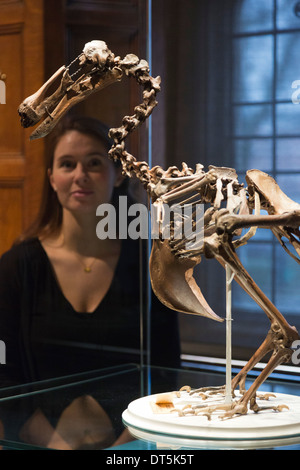 Ausstellung "Entdeckungen - Kunst, Wissenschaft & Exploration" von der University of Cambridge Museen, zwei Tempel Place, London Stockfoto