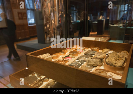 Ausstellung "Entdeckungen - Kunst, Wissenschaft & Exploration" von der University of Cambridge Museen, zwei Tempel Place, London Stockfoto