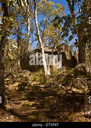 Felsbrocken in den Busch, Snowy Mountains, New South Wales, Australien Stockfoto