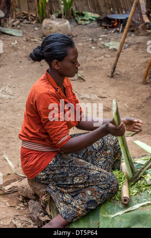 Ein Dorze Frau bereitet Kocho (ungesäuertes Brot) hergestellt aus der falschen Bananenbaum, Hayzo Dorf, Arba Minch, Äthiopien Stockfoto