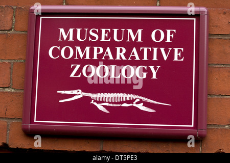 Melden Sie für Museum für vergleichende Zoologie an der Harvard University, Boston, Massachusetts, USA Stockfoto