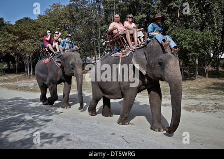 Touristen und mahout Elefant Trekking in Thailand Tourismus S. E. Asien Stockfoto