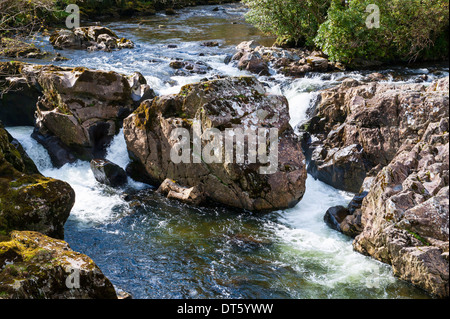 Wasserfall bei Betwys-y-Coed, Snowdonia, Nordwales Stockfoto