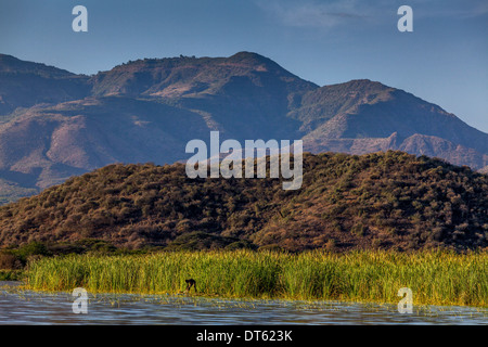 Fischer, Lake Chamo Arba Minch, Äthiopien Stockfoto