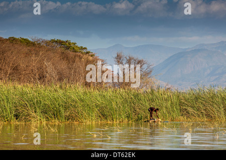 Fischer, Lake Chamo Arba Minch, Äthiopien Stockfoto