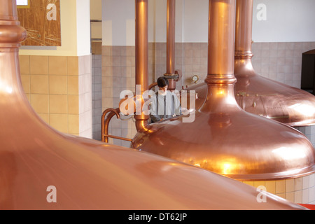 Junger Mann arbeitet in Brauerei Stockfoto