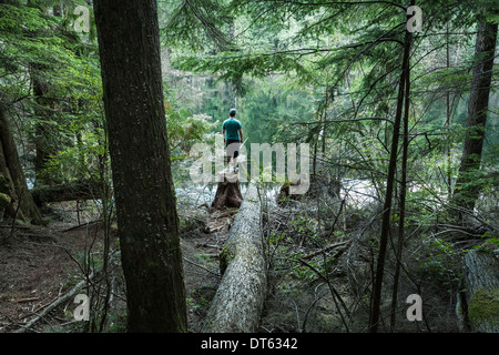 Mann im Wald, Buntzen Lake, British Columbia, Kanada Stockfoto