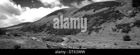 Blackseat Hill, Verbrühung Hill, den Cheviot Hills, Grafschaft Northumberland National Park, Northumbria, England, UK Stockfoto