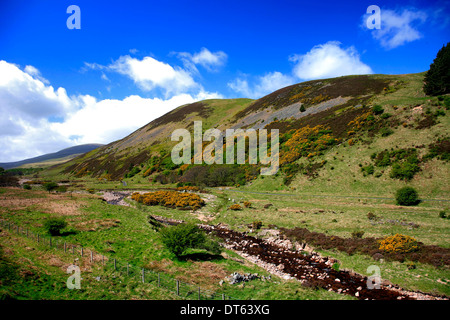 Blackseat Hill, Verbrühung Hill, den Cheviot Hills, Grafschaft Northumberland National Park, Northumbria, England, UK Stockfoto