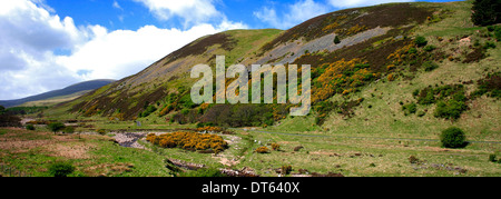 Blackseat Hill, Verbrühung Hill, den Cheviot Hills, Grafschaft Northumberland National Park, Northumbria, England, UK Stockfoto