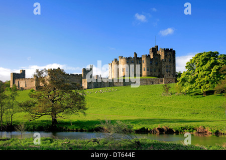 Sommer, Alnwick Castle, das Fluss Aln, Grafschaft Alnwick Stadt, Northumbria, England, UK Stockfoto