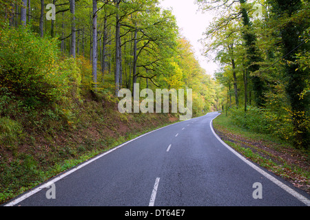 Pyrenäen-Kurve-Straße im Wald von Spanien Stockfoto