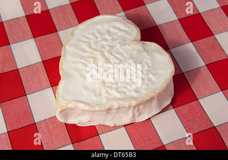herzförmige Käse, Normandie, Frankreich Stockfoto