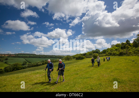 Wanderer auf dem Weg von Winchcombe während Wanderfest, Cotswolds, UK Stockfoto