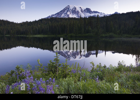 Mount Rainier, einen schneebedeckten Gipfel in Washington, USA Stockfoto