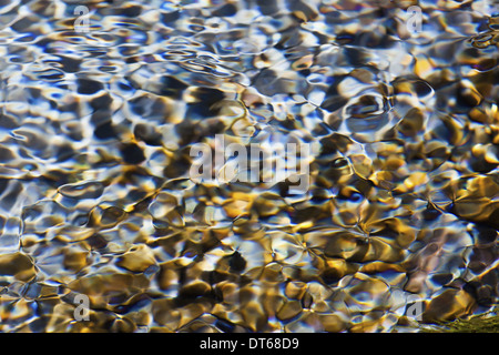 Licht und Schatten auf Wellen in einem flachen Abschnitt des Sol Duc River, Olympic National Park, USA Stockfoto